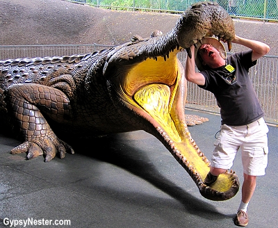 David is attacked by a crocodile at Steve Irwin's Australia Zoo in Queensland