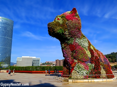 The Guggenheim's Flower Puppy in Bilbao, Spain