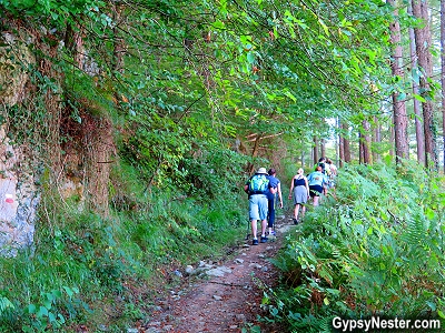 Hiking through the woods of Basque Country in Spain