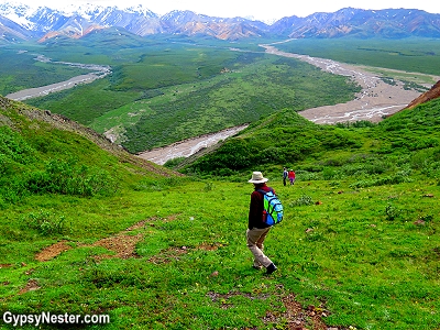 Hiking through Denali National Park in Alaska