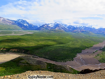 The sheer cliffs off the road through Denali National Park in Alaska are crazy!