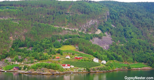 Norway Fjords on the Viking Star
