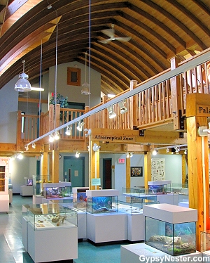 Inside the Newfoundland Insectarium