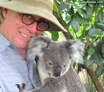 David cuddles with a koala at Lone Pine Koala Santuary in Brisbane, Queensland, Australia