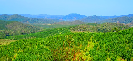 The beautiful hinterland near Noosa, Queensland, Australia