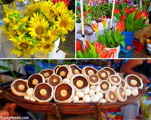 Riots of flowers and plants at the Sunday Noosa Farmers Market in Queensland, Australia