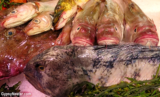 Fresh fish offerings at Lisa Elmqvist in Stockholm, Sweden