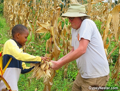  Våre Discover Corps team plasser i å hjelpe skolen som vi er frivillig i pick corps for sine lunsjer I Tanzania!