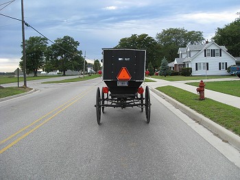 An Amish Buggy
