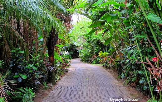 A path between pools at Baldi Hot Springs Resort in La Fortuna, Costa Rica