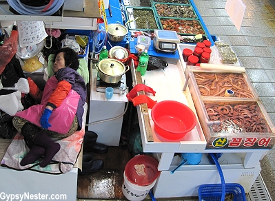 A woman sleeps in the Busan, South Korea fish market