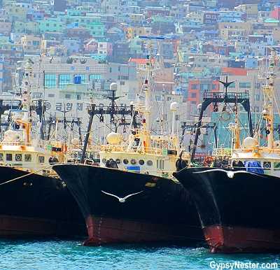 Fishing boats in Busan South Korea