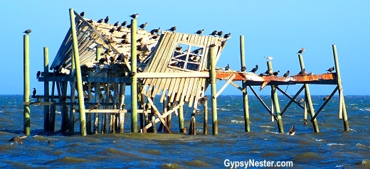 Cedar Key, Florida