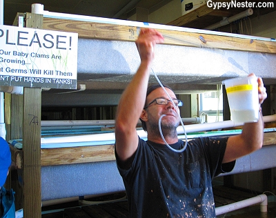 Scott Moots, Director of Aquaculture at Southern Cross Sea Farms, Cedar Key, Florida