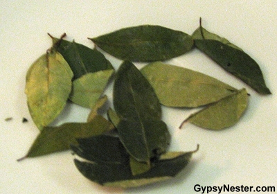 Coca leaves