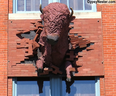 Perhaps the most popular part of the renovation of the Rockwell museum in Corning, New York, and the first thing we noticed when we arrived, is Artemus (art is a must). It’s hard to miss a life-sized bison bursting through a second story brick wall