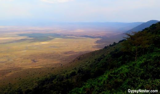 Entering the Ngorongoro Crater Conservation Area