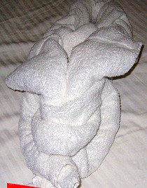 Fuzzy Towel Bunny