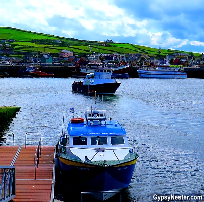 The harbor in Dingle, Ireland