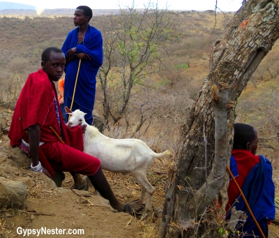 We witnessed a traditional Maasai goat slaughter in Tanzania, Africa with Discover Corps