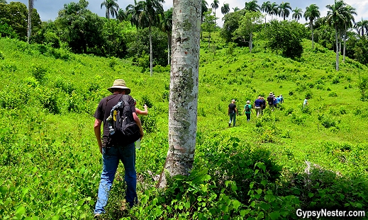 Hiking in the Dominican Republic