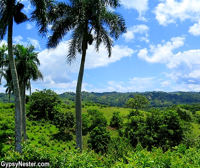 Reforestation efforts in the Dominican Republic leads to clean water