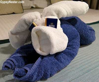 We LOVE cruise towel animals!