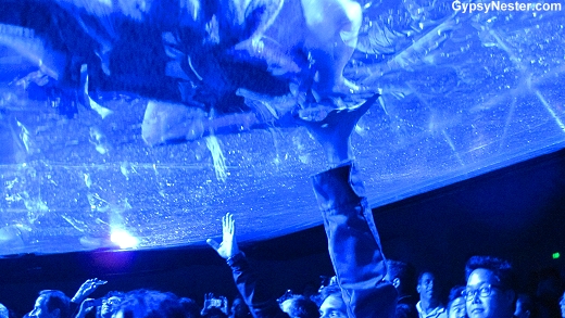 Fuerza Bruta water ceiling