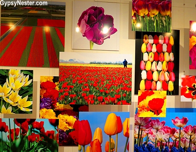 The Amsterdam Tulip Museum
