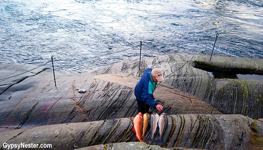 Fishing in the Saltstraumen near Bodo, Norway