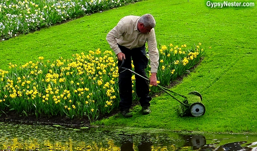 Push mowers are used in Keukenhof Gardens in Lisse, Holland, The Netherlands