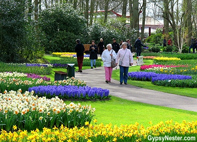  Keukenhof Gardens in Lisse, Holland, The Netherlands