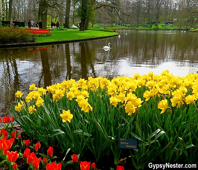 A swab floats through Keukenhof Gardens in Lisse, Holland, The Netherlands