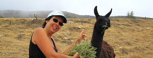 Veronica feeds a llama at El Capitan Canyon Glamping