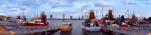 The Fisherman's Co-op in Gold Coast, Queensland, Australia