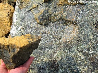 Close up of the rocks at the Earth's mantle in Newfoundland