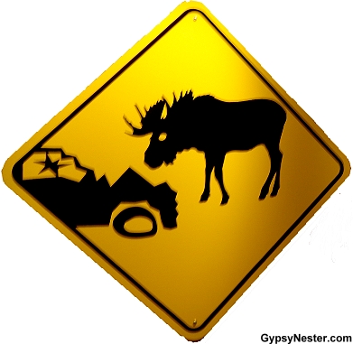 Moose sign in Gros Morne National Park, Newfoundland, Canada