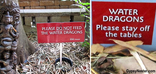 Water dragon signs at Spirit House Cooking School in the Hinterlands of Queensland Australia