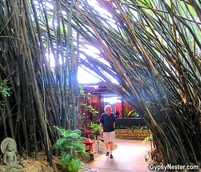 A walk in the gardens of Spirit House in the Hinterlands of Queensland Australia