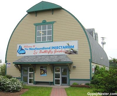 The Newfoundland Insectarium