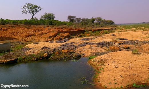 A river in Kruger National Park, South Africa