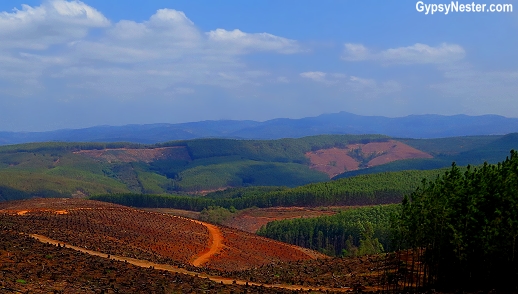 Along the road from Johannesburg to Kruger National Park in South Africa