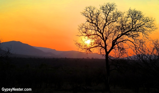 Beautiful sunset at Kruger National Park in South Africa