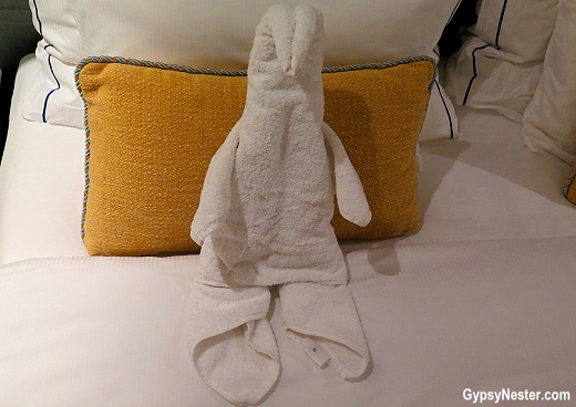 A penguin towel animal aboard Viking River Cruises Odin
