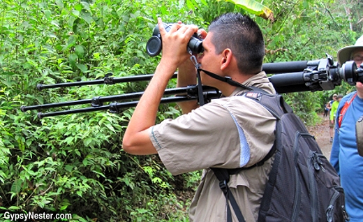 Our wildlife spotting guide at Manuel Antonio National Park, Costa Rica