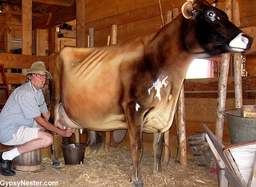 David milks a 'cow' at Green Gables National Historic Site