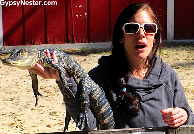 The Animal Encounter at Weeki Wachee Springs