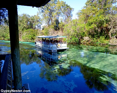 The River Boat Cruise at Weeki Wachee Springs