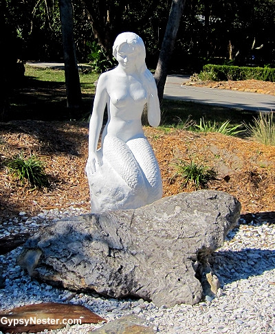 The Mermaids of Weeki Wachee Springs
