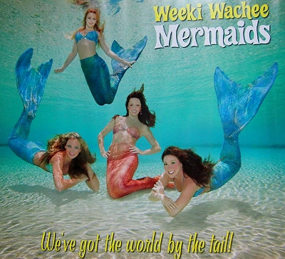 The Mermaids of Weeki Wachee Springs